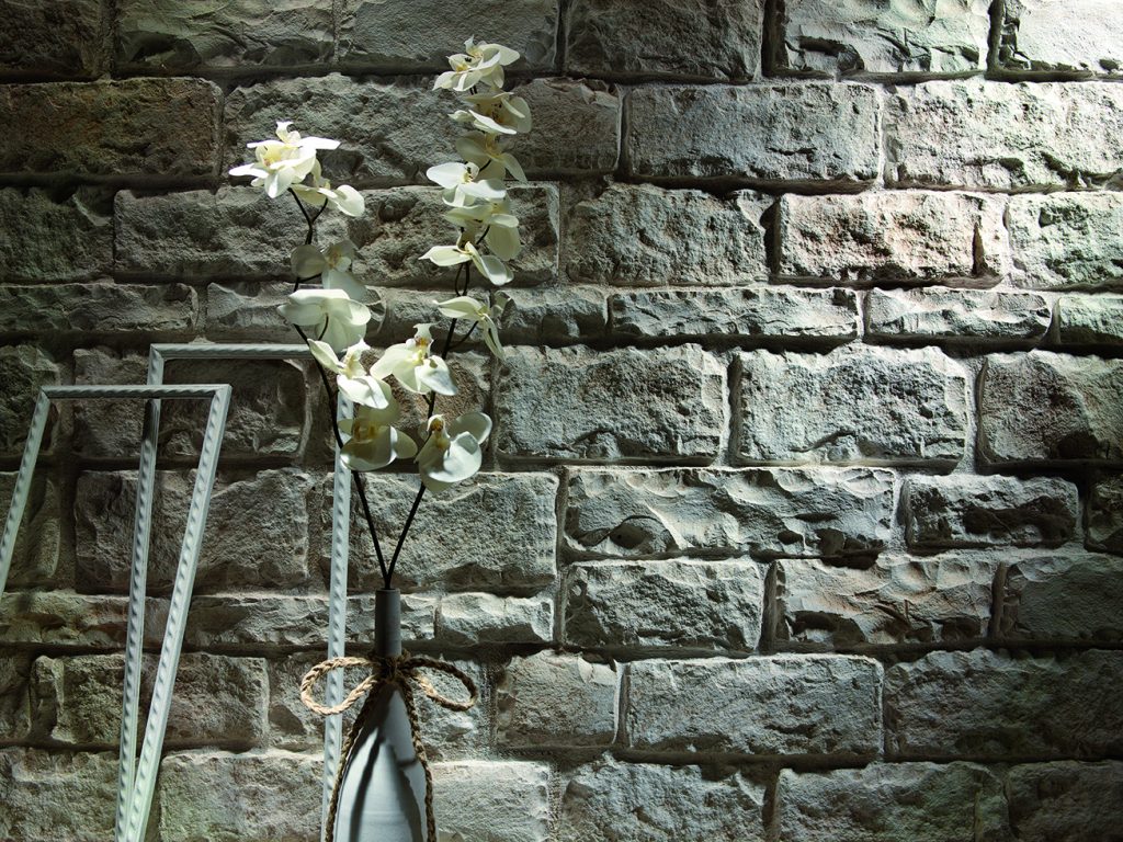 Sandy-White-Liebana-flower-close-up-52